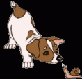 /album/fotogaleria/gifs-animados-perro-jugando-gif/